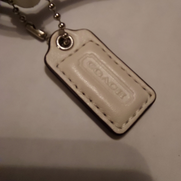 Coach Cursive Label Chalk Crossbody, Nice - Picture 4 of 13